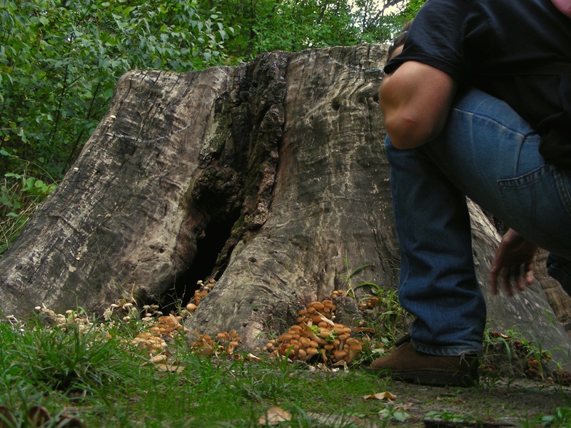 Escursione in....universit�!